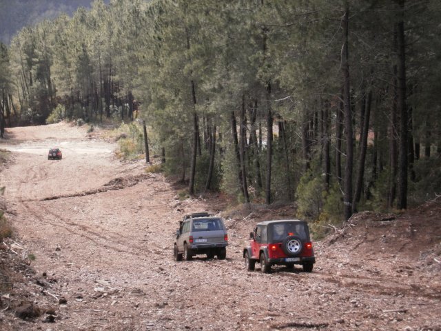 ATT-Barroso2011_36